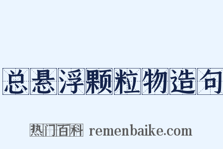 总悬浮颗粒物造句是什么意思的图片